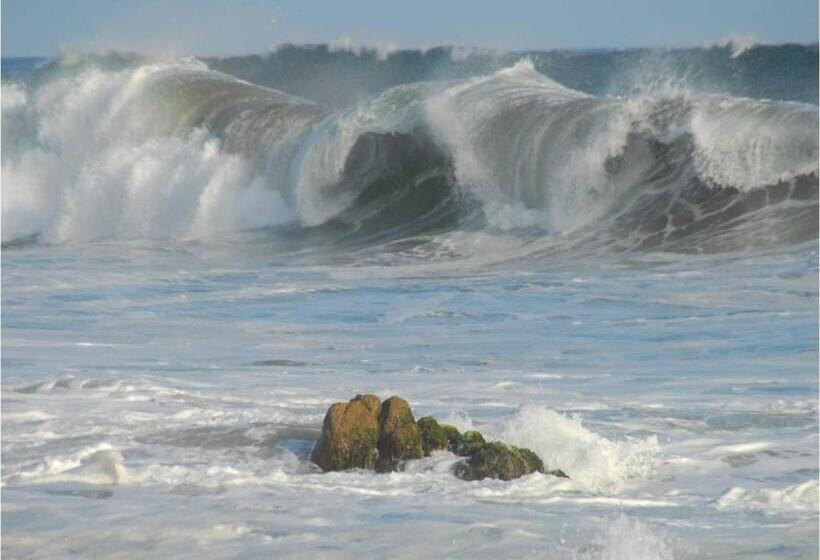 Отель Angel Del Mar