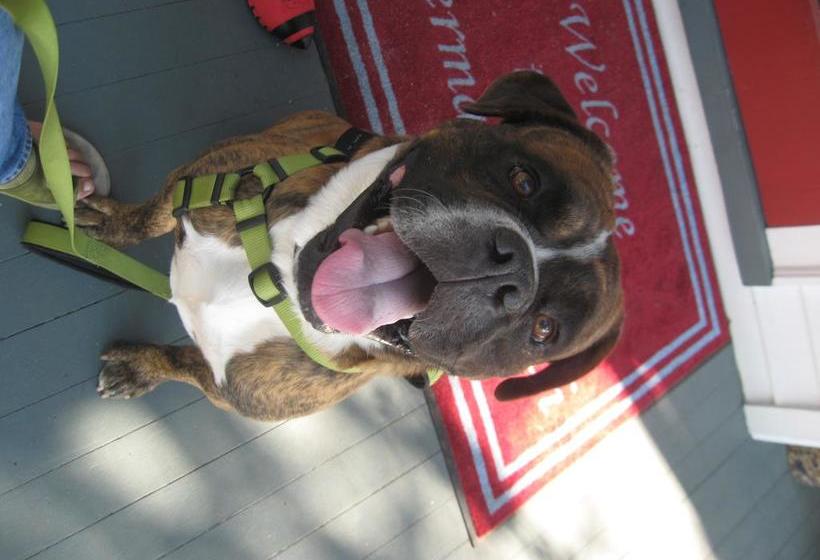 Mermaids Porch Bed & Breakfast