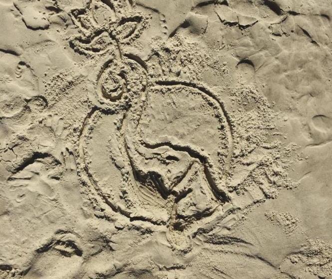 فندق على الطريق Magnolia Inn