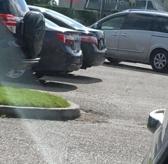 فندق على الطريق Magnolia Inn