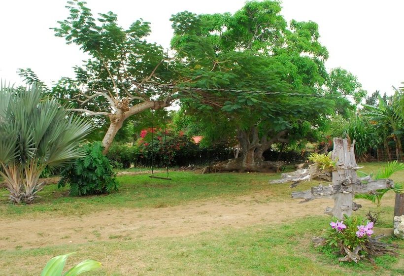 پانسیون Casa Abella