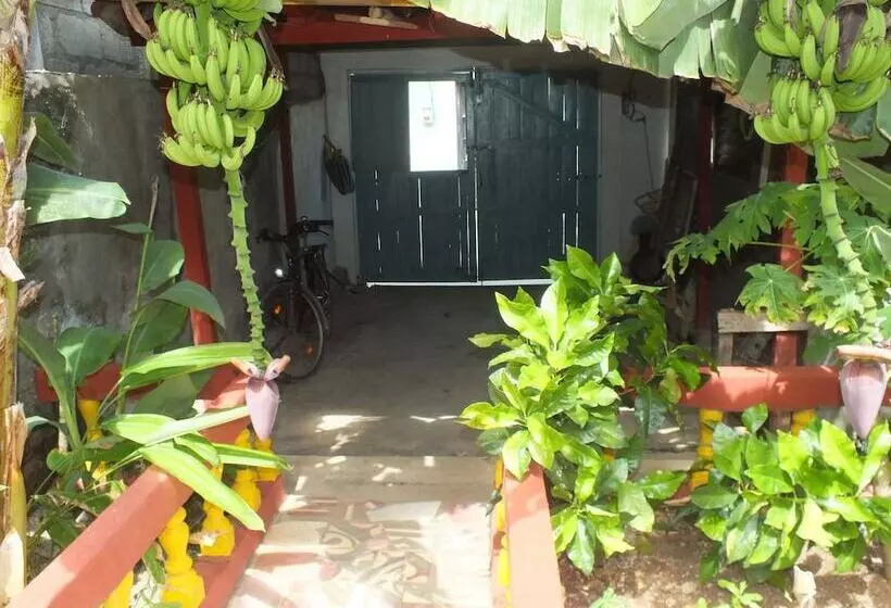 ペンション Casa Colonial Baracoa