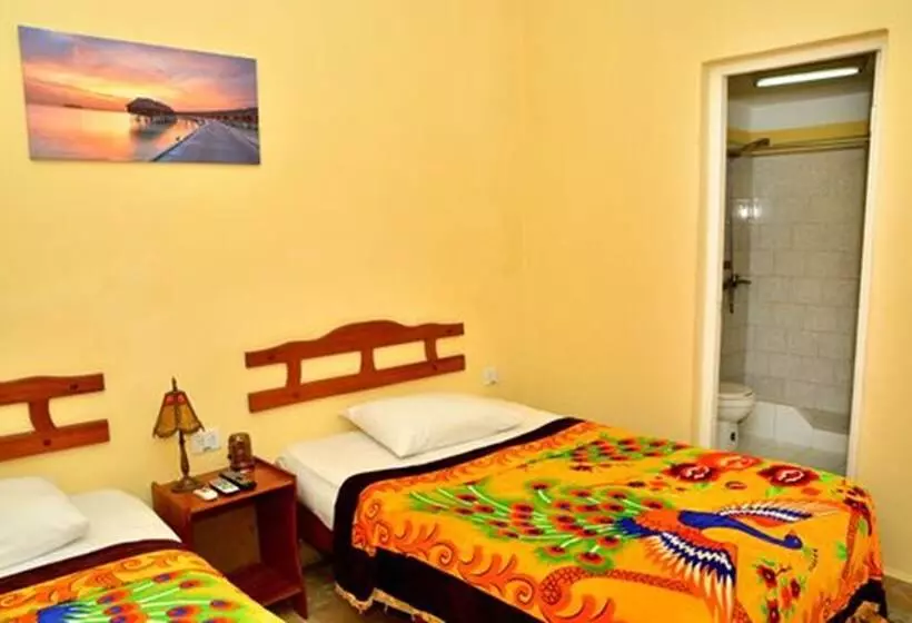 ペンション Hostal Santa Teresa
