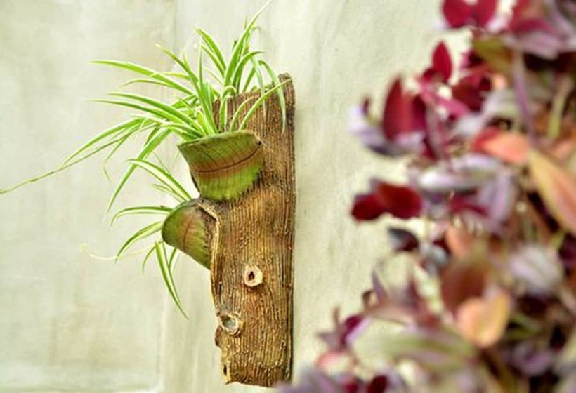 پانسیون Hostal Santa Teresa