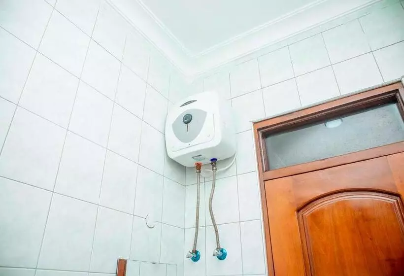 هاستل Plavender Inn