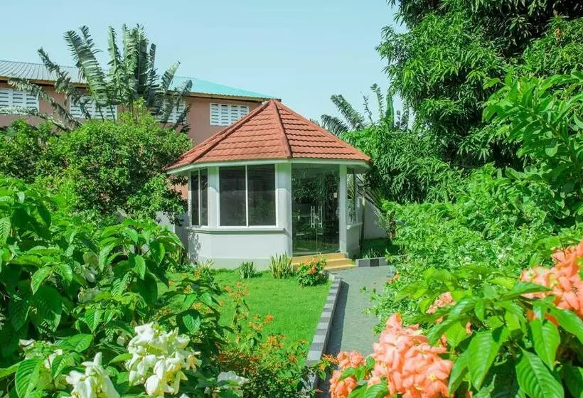 هاستل Plavender Inn