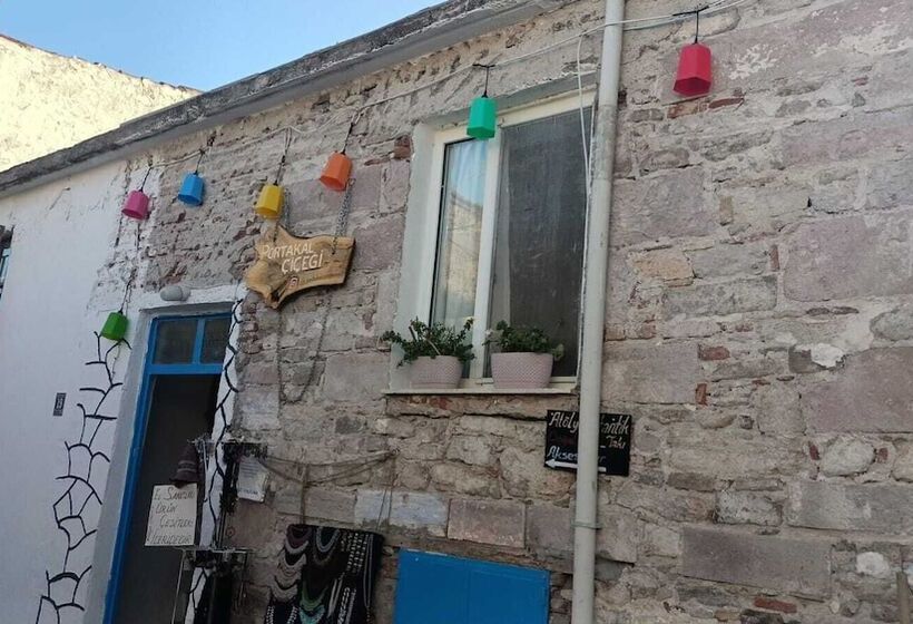 ベッドアンドブレックファースト Portakal çiçeği