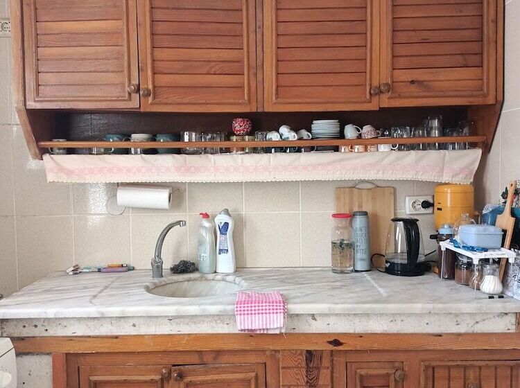 ベッドアンドブレックファースト Portakal çiçeği