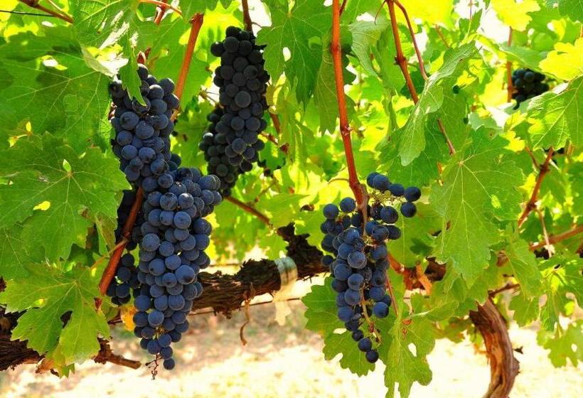 هتل Immana Grand Inle