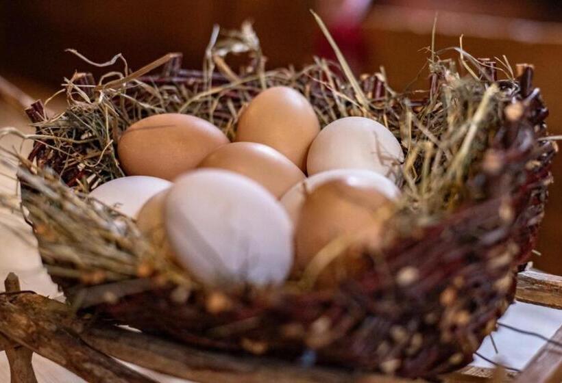 ホテル Oberhaushof