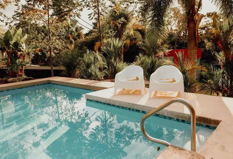 پانسیون Mata E  Platano Guesthouse