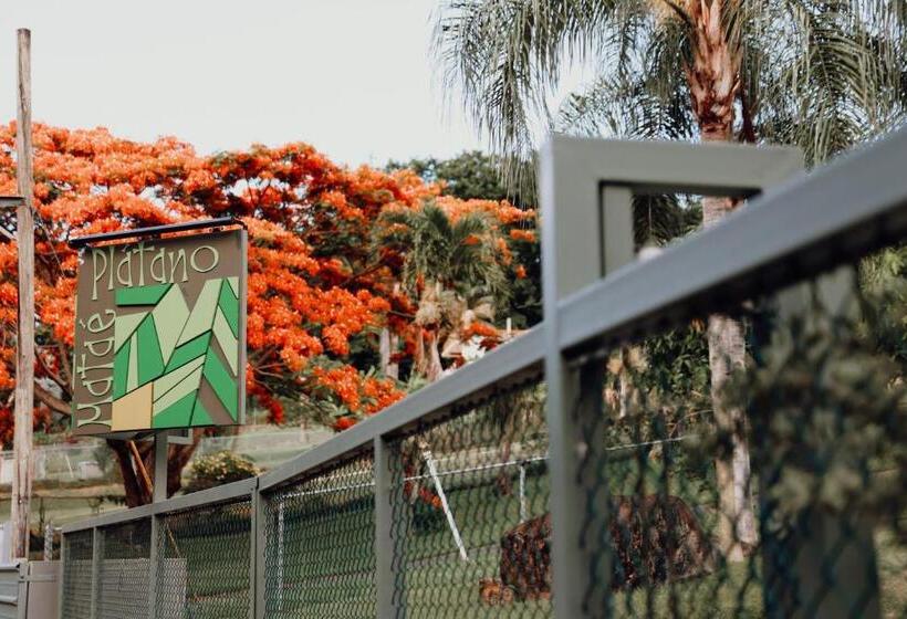 پانسیون Mata E Platano Guesthouse