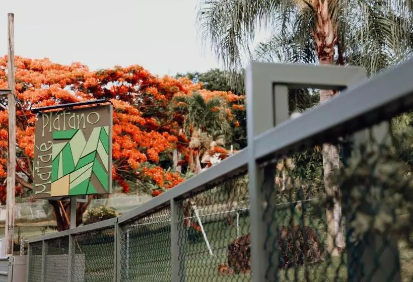 پانسیون Mata E  Platano Guesthouse