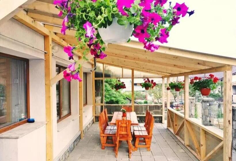 بنسيون Vila Bianca