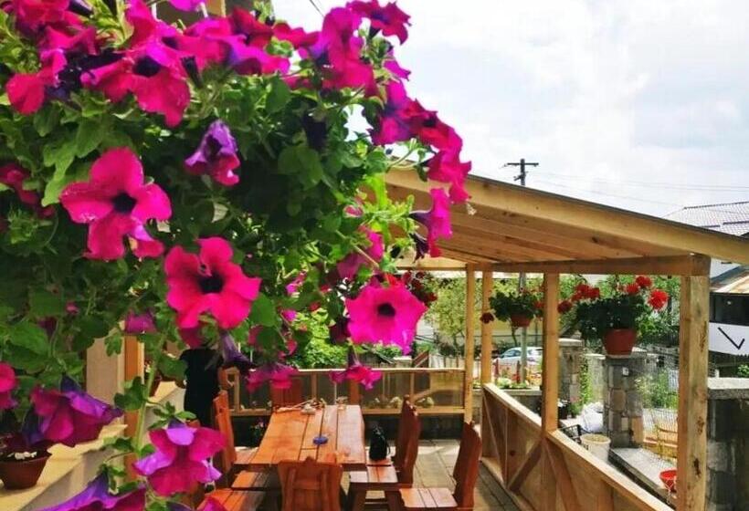 بنسيون Vila Bianca