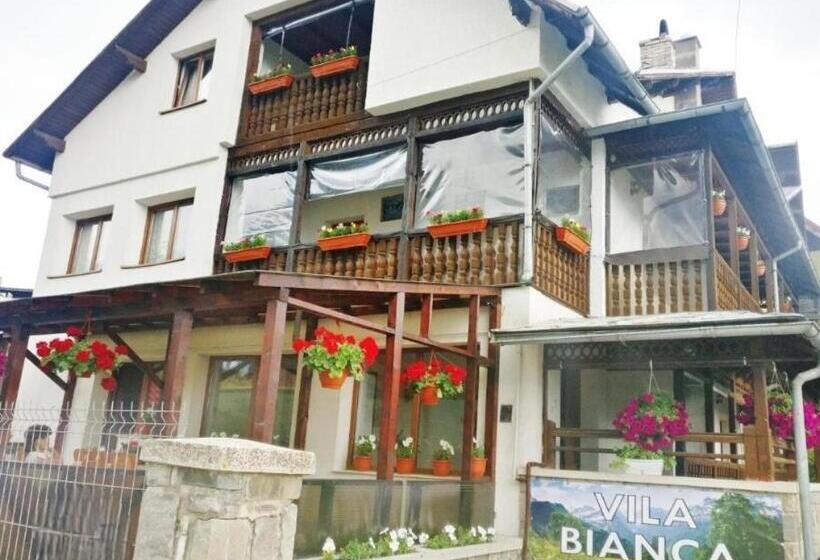 بنسيون Vila Bianca