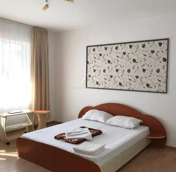 ペンション Vila Dor De Mare