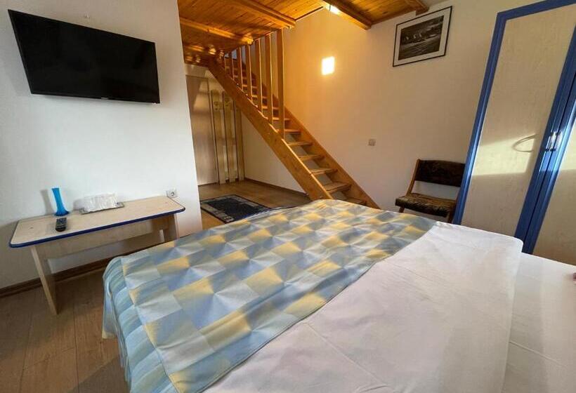 پانسیون Vila Niculina