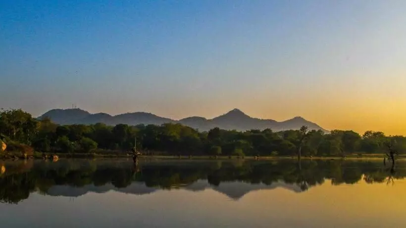 Yala Way Hide Resort