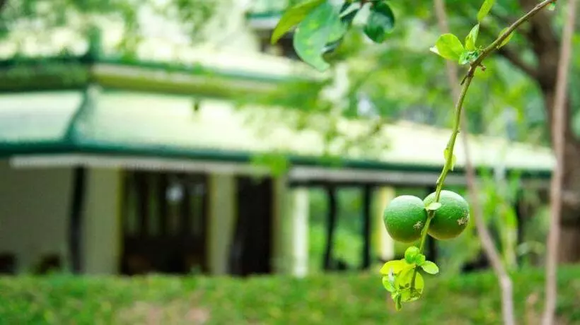 Yala Way Hide Resort