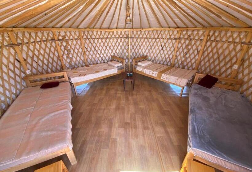 هاستل Cozy Dz Guesthouse