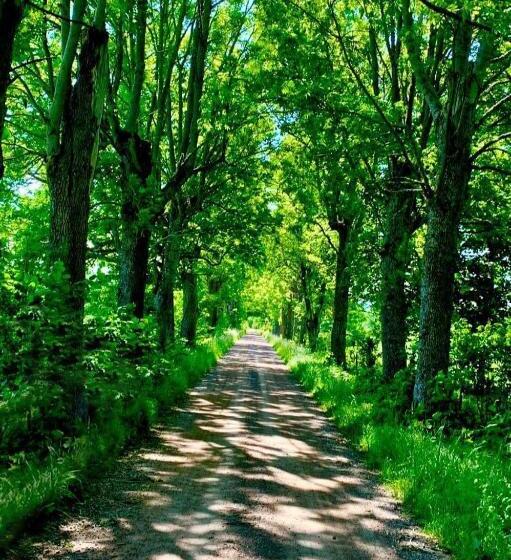 Schronisko Mossebo Gästhem