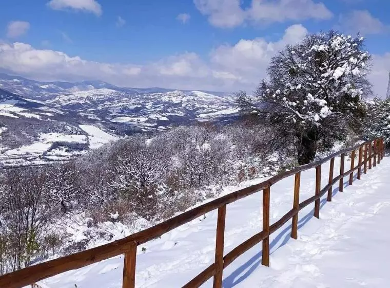 Aamiaismajoitus (B&B) Agribnb Casa Furnaredda