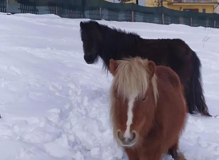 צימר Agribnb Casa Furnaredda