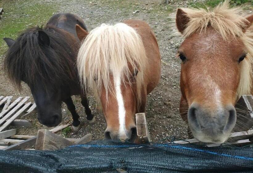 צימר Agribnb Casa Furnaredda