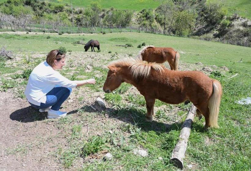 צימר Agribnb Casa Furnaredda