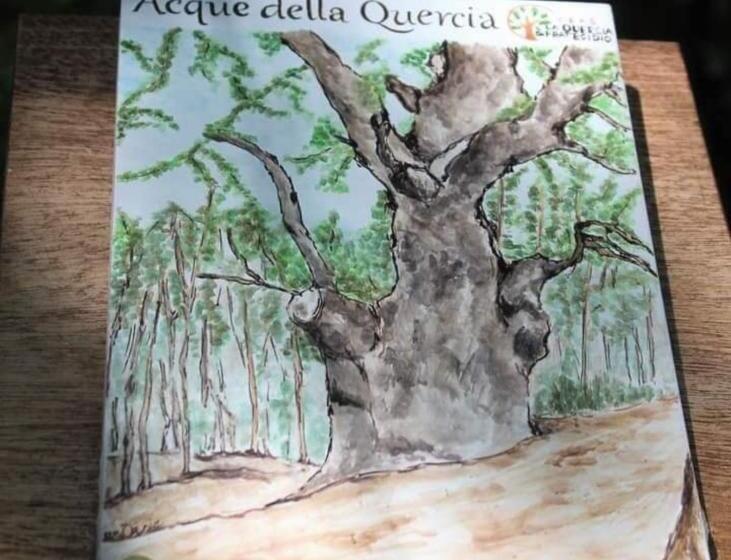 צימר Agribnb Casa Furnaredda