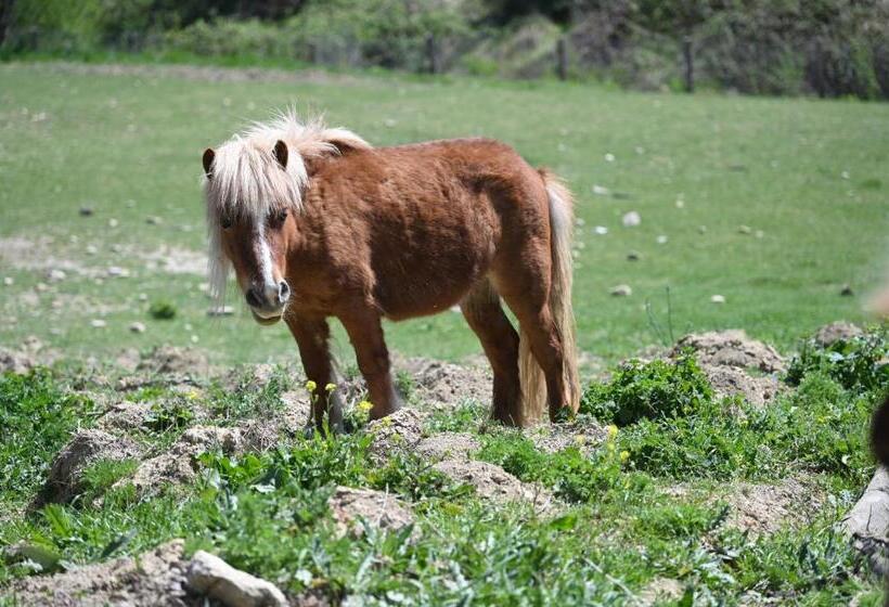 צימר Agribnb Casa Furnaredda