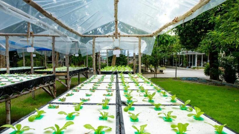 Hotel Mac Garden Resort