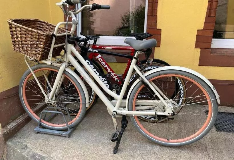 Modern Stay I Cosy & Central Apartments