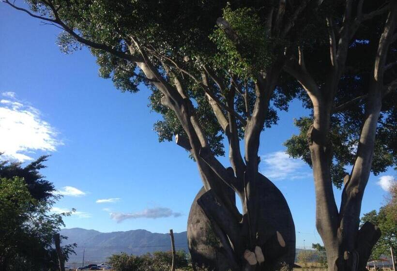 پانسیون Costa Rica Airport Lodge El Cacique
