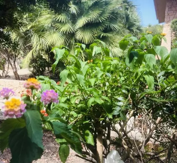 ペンション Happy Room With Garden And Terrace