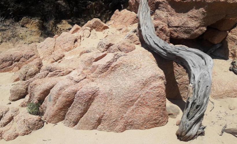 بنسيون Happy Room With Garden And Terrace