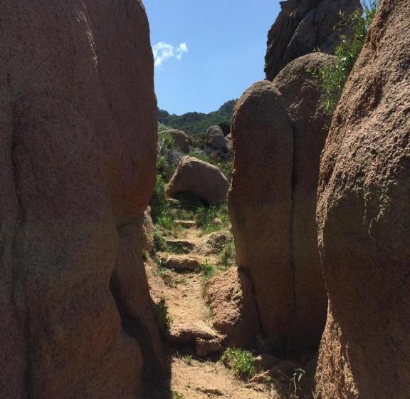 بنسيون Happy Room With Garden And Terrace