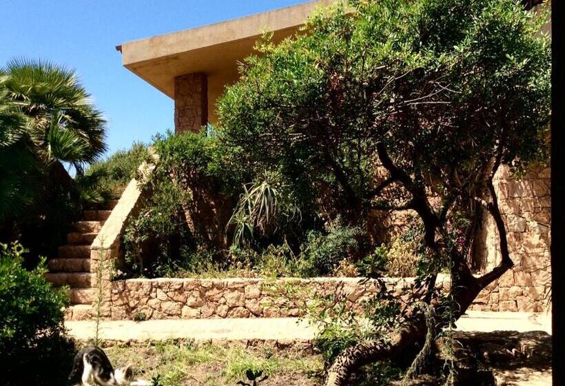 بنسيون Happy Room With Garden And Terrace