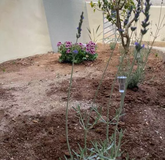 پانسیون Sale Di Mare
