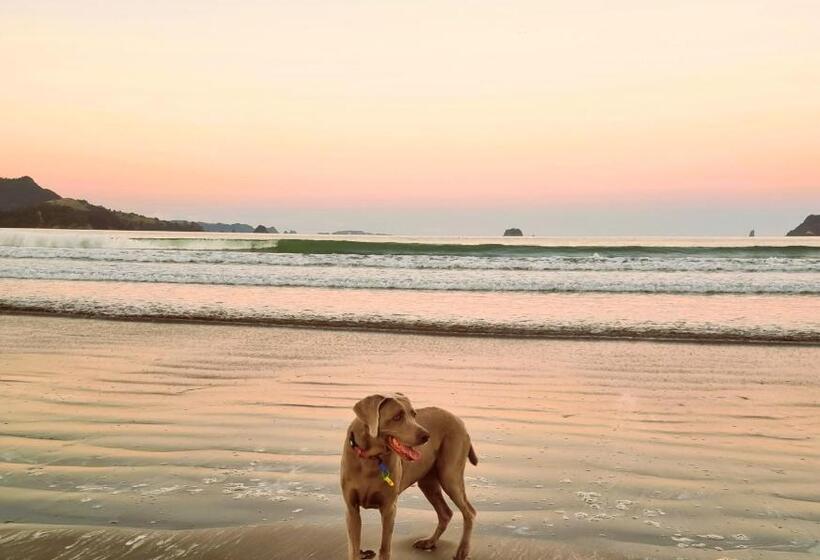 بنسيون Sun Republik Studio