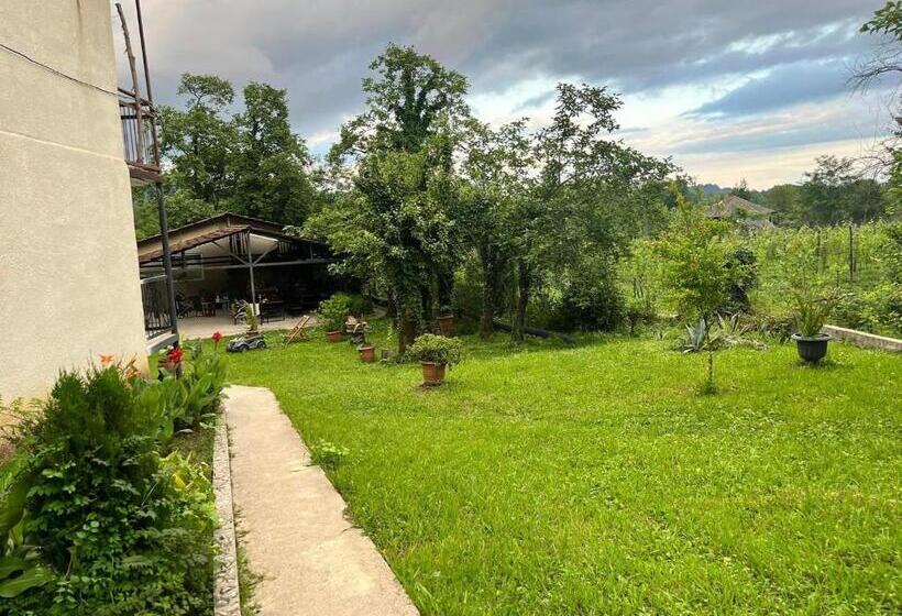 هاستل Dali S Guest House