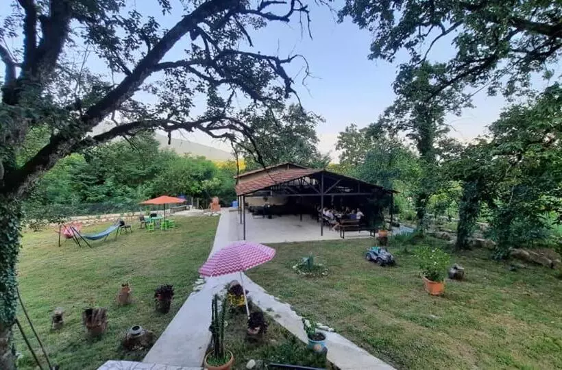 هاستل Dali S Guest House