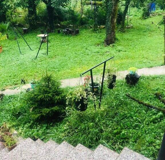 هاستل Dali S Guest House