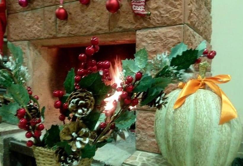 هاستل Dali S Guest House