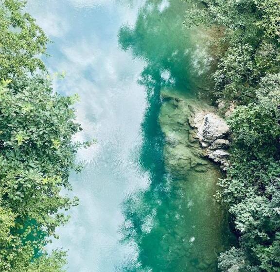 هاستل Dali S Guest House