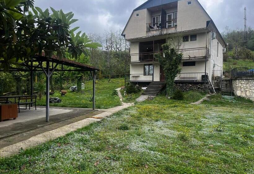 هاستل Dali S Guest House