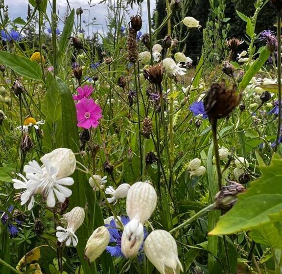 B&b In Schönem Altem Bauernhaus
