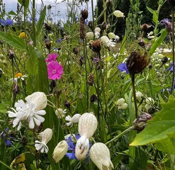 B&b In Schönem Altem Bauernhaus