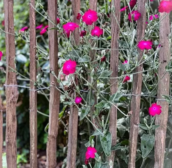 B&b In Schönem Altem Bauernhaus